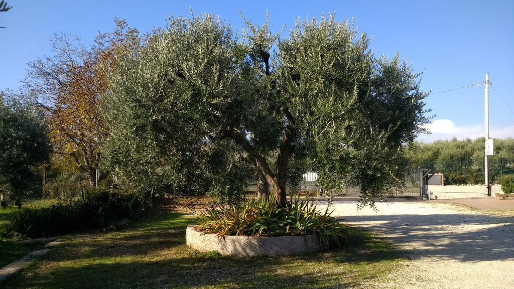 B&B Villa Roncatti Parona di Valpolicella Extérieur photo