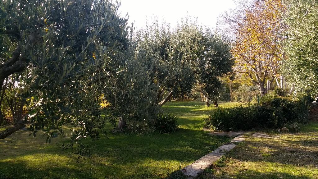 B&B Villa Roncatti Parona di Valpolicella Extérieur photo