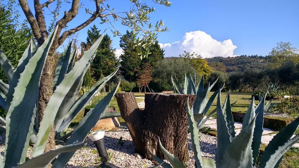 B&B Villa Roncatti Parona di Valpolicella Extérieur photo